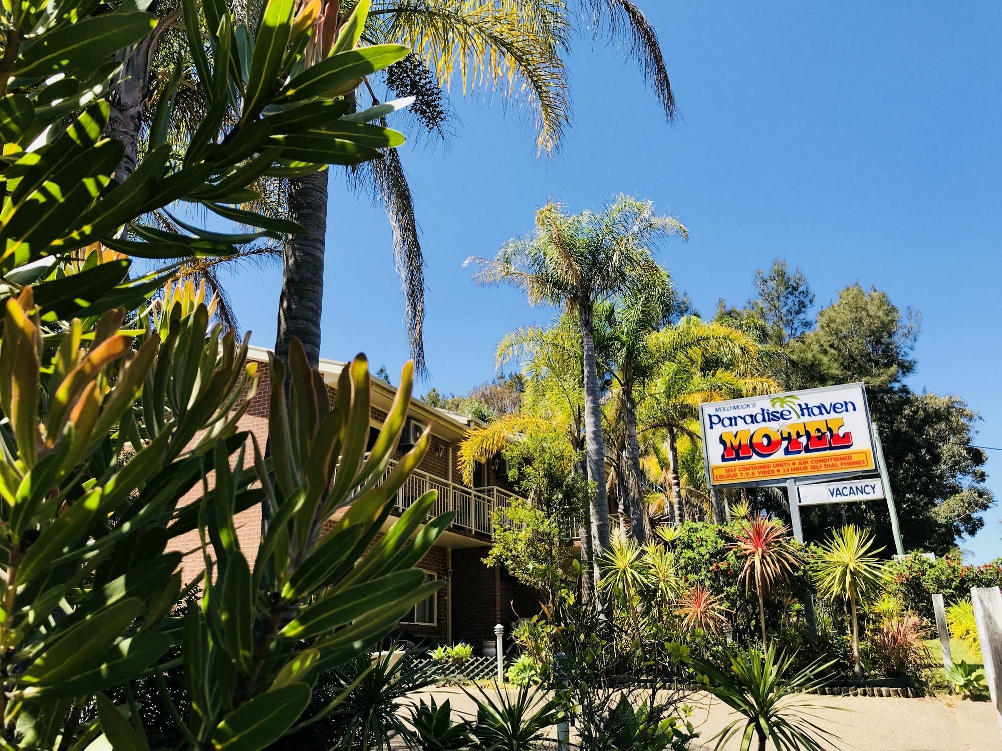 Mollymook Paradise Haven Motel Kültér fotó